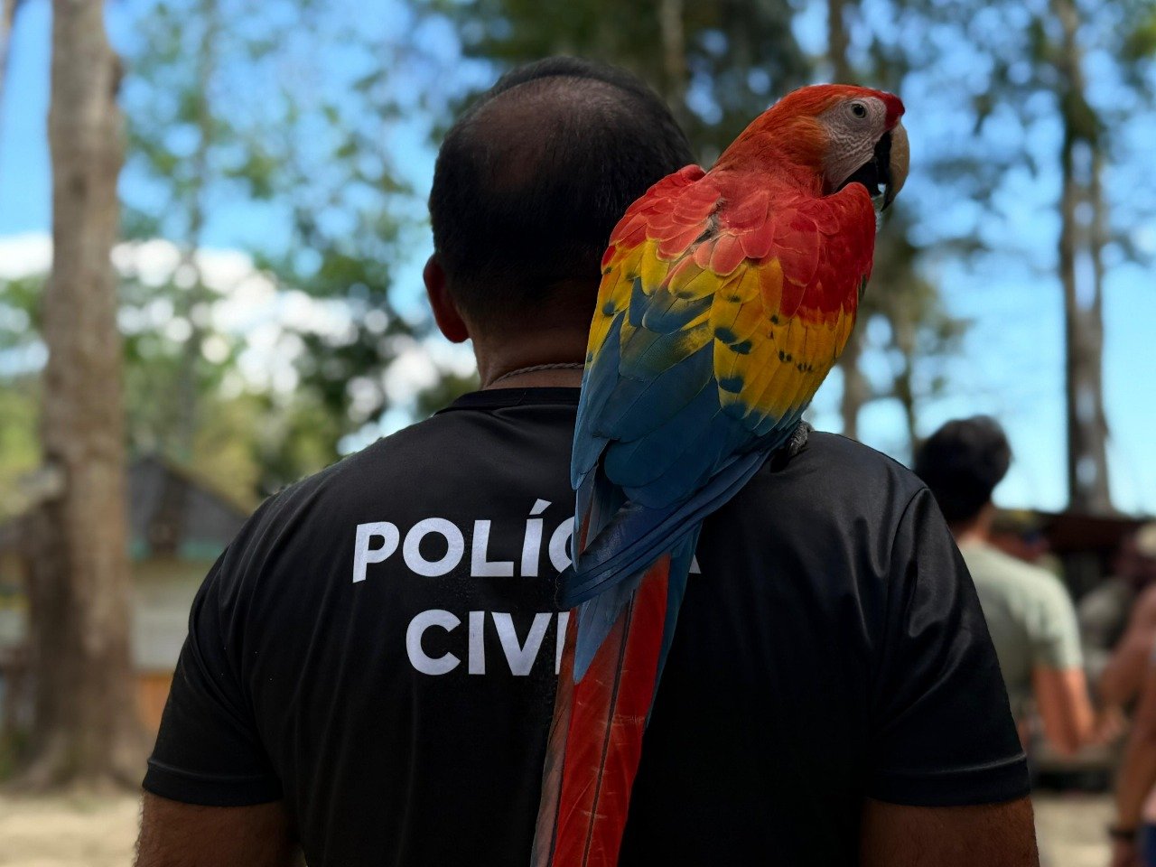 Dia do Meio Ambiente marca 20 anos da Dema no combate a crimes ambientais no AM